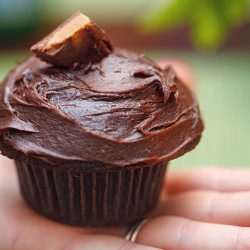 Chocolate-Peanut Butter Cupcakes
