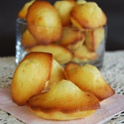 Classic and Perfect Madeleines