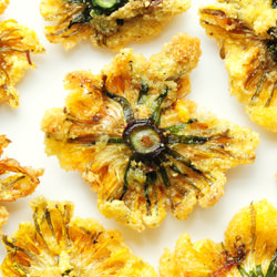 Fried Dandelion Flowers