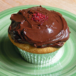 Cupcakes with Chocolate Frosting