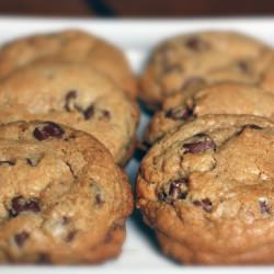 Chocolate Chip Cookie Quest