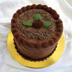 Mint Chocolate Layer Cake