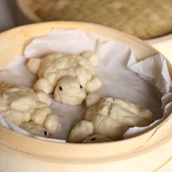 Turtle Bao