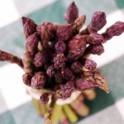 Asparagus