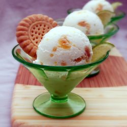 Lemon Lime Crush Sherbet
