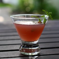 Pamplemousse Cocktail
