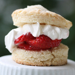 Mini Strawberry Shortcakes