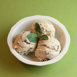 Fresh Mint Chocolate Chip Ice Cream