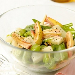 Fava Bean and Pecorino Salad