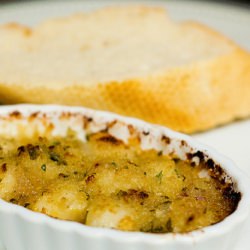 Bay Scallop Gratins