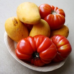 Mangoes & Tomatoes