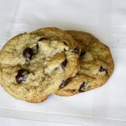 Chewy Chocolate Chip Cookies