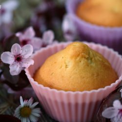 Cupcakes for Spring