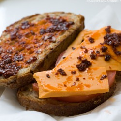 Fire Ice Panini