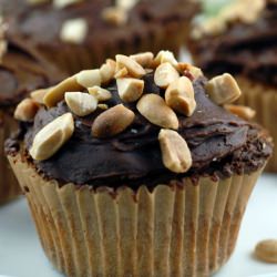 Peanut Butter Chocolate Cupcakes
