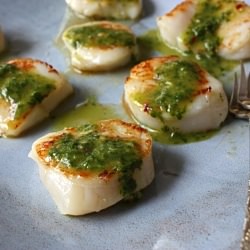 Seared Scallops Chimichurri