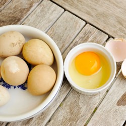 Anatomy of a Guinea Egg