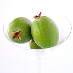 Feijoa Daiquiri