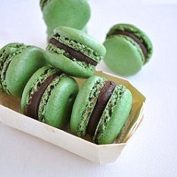 Jungle Macarons