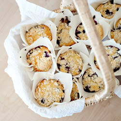 Blueberry Muffins