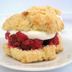 Tender Shortcakes