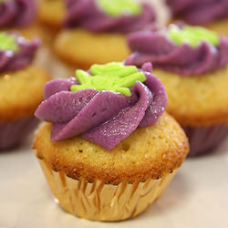 Mini Cupcakes