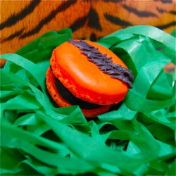 Tiger Macarons