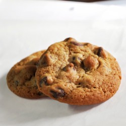 Chewy Chocolate Chip Cookies