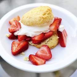 Strawberry Shortcake