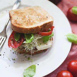A Simple Summer Sandwich