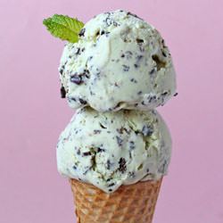 Mint Chip Ice Cream