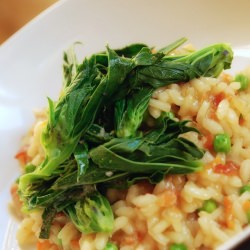 Broad or Fava Bean Tops
