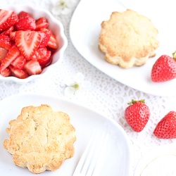 Strawberry Shortcakes