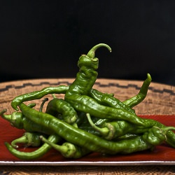 Stir-Fried Green Chilies
