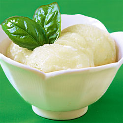 Basil Lime Sorbet