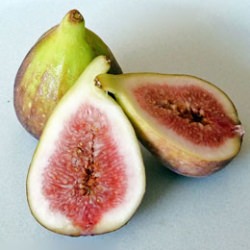 Figs