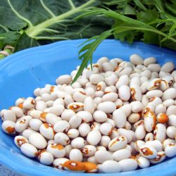 Heirloom Yellow-Eye Bean Soup