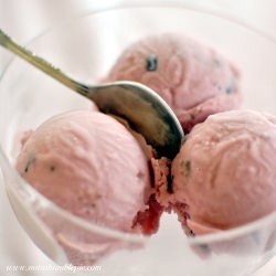 Pomegranate Gelato