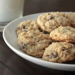 Oat Chocolate Cookies