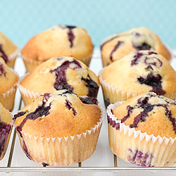 Blueberry Muffins