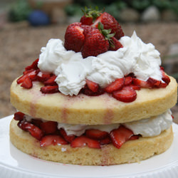 Strawberry Shortcake Cake