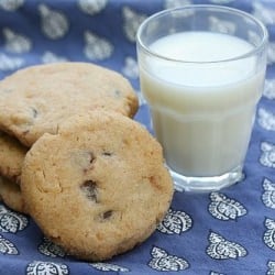 Chocolate-Chip Peanut Butter Cookie