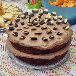 Banana Chocolate Chip Cake