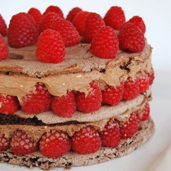 Pavlova for DB