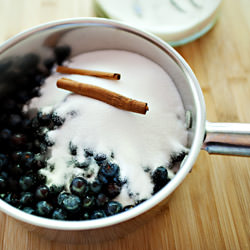 Blueberry Sauce