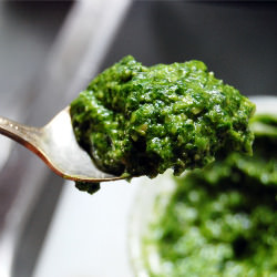 Arugula-green Garlic Pesto