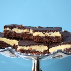 Nanaimo Bars (low carb)