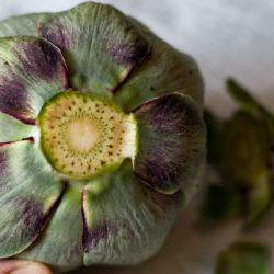 Anatomy of an Artichoke