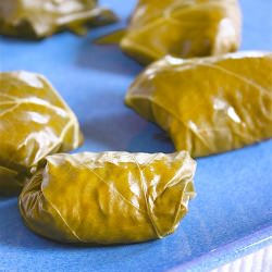 Grape Leaves