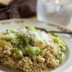 Summery Rice and Fava Beans